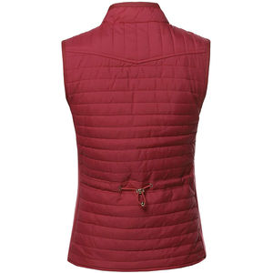 Chaleco Acolchado de Invierno con Cremallera y Logotipo Personalizado, Ropa de Calle, Prenda Exterior de Moda, Abrigo sin Mangas para Mujer, Chalecos Ecuestres, Chalecos Acolchados - Product Image 6