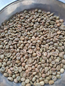 Granos de Café Vietnamita al por Mayor, Café Robusta Tamaño 16 AA+, Exportación a Granel, Bolsas de 60 kg, Granos de Café Verde al por Mayor, Buena Oferta - Product Image 5
