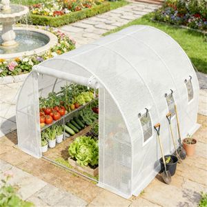 Serre tunnel agricole blanche pour la culture des plantes - Product Image 4