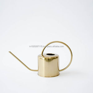 Bidon d'eau élégant en acier inoxydable avec long bec étroit et corps robuste pour une configuration minimaliste de la décoration des plantes d'intérieur - Product Image 3