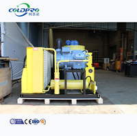 Machine à glace en flocons COLDPRO compacte de 5 tonnes pour supermarchés et restaurants, facile à nettoyer, 220V/380V