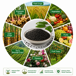 Inoculante Microbico di Nuova Generazione |   Bacillus Amyloliquefaciens ≥10 <span class=keywords><strong>Miliardi</strong></span>/g, 40kg, Migliora la Salute delle Radici e la Resilienza delle Colture - Product Image 4