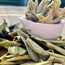 Dried Soursop Graviola Black <b>Tea</b> Premium Natural Bulk Export Vietnam Organic Non Sugar Grade 25 <b>Tea</b> Bags/<b>Box</b> Vacuum Packaging - Product Image 5
