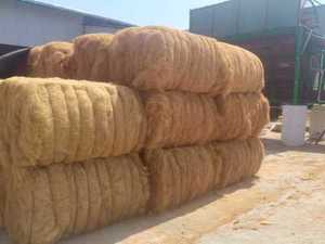 Fibra de Coco de Origen Vietnamita para Sombreo |   BARRERA CONTRA ERIZAS DE ALTA PERMEABILIDAD PARA MACETAS DE COCO - Product Image 6