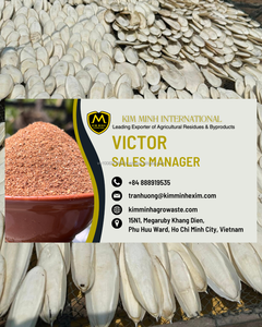 Hueso de Sepia Seco de Primera Calidad para Alimentación Animal, Calcio y Minerales Esenciales de Ho Chi Minh City, Vietnam - Product Image 6