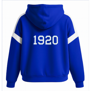 Zeta Phi Beta sororité Style sweat à capuche surdimensionné Premium confortable coton Polyester décontracté poche kangourou Design Logo personnalisé Option - Product Image 2
