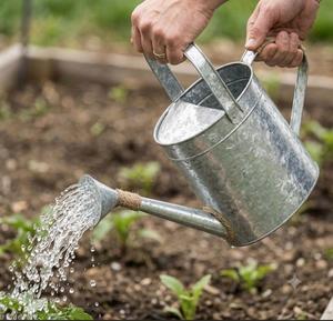 Arrosoir en métal galvanisé, pot à eau de jardin rustique en zinc avec long bec verseur et poignée en corde pour une utilisation intérieure et extérieure - Product Image 2