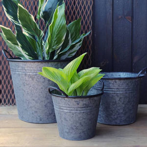 Macetas Galvanizadas al por Mayor para Exportación, Macetas Decorativas para Hogar y Jardín, Macetas Metálicas para Plantas Verdes - Product Image 1