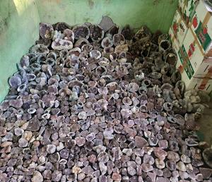 Lote de Especímenes Minerales de Geoda de Apofilita y Amatista Púrpura Natural Rara, Formación de Cristal Única para Coleccionistas y Decoración del Hogar - Product Image 3