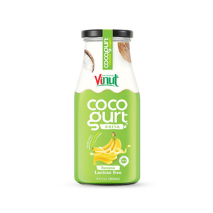 Noix de coco yaourt banane 280ml 9.5 floz boisson 24 bouteilles carton bouteille pet non OGM OEM ODM marque privée échantillon gratuit Halal K - Product Image 4