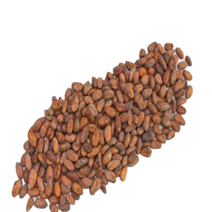 Fèves de cacao de qualité supérieure en gros, approvisionnement en vrac, qualité alimentaire, prêtes à être expédiées, fournisseur d'exportation fiable - Product Image 5
