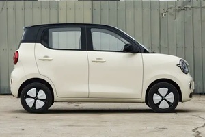 Oferta Especial: Wuling Hongguang MINIEV de Alta Gama, Vehículo Eléctrico Económico con Volante a la Izquierda, Mini Auto Eléctrico de Alta Calidad - Product Image 5