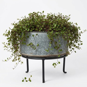 Juego de 3 Macetas de Metal Galvanizado con Soportes de Hierro Negro, Acabado Desgastado, Decoración Moderna para Jardín de Estilo Rústico al Mejor Precio - Product Image 6