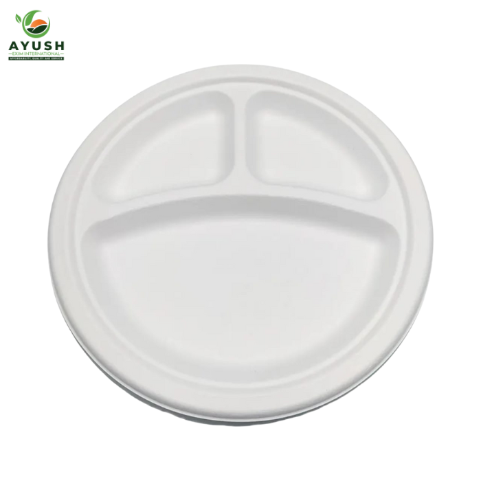 Heat-Resistant 10" 3CP Round Sugarcane Fiber Plates for High Volume Hot Pasta and Noodle Food Stall Service