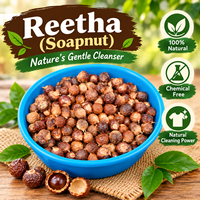 Bubuk Biji Reetha Alami Kelas Kosmetik Ekstrak Tanaman Hijau Bebas Bahan Kimia Bahan Pembersih untuk Deterjen dan Perawatan Pribadi