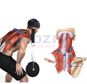 Entrenador de Ejercicios para el Cuello, Ajustable, con Almohadilla de Neopreno Suave, Correa para la Cabeza y Mentón, para Levantamiento de Pesas, Gimnasio en Casa, Roziv - Product Image 5