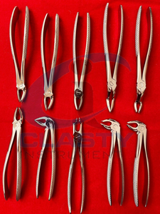Professional Molar Extraction Forceps Stainless Steel Dental <b>Tooth</b> Removal <b>Tool</b> Hand Crafted Surgical Instrument - Product Image 2
