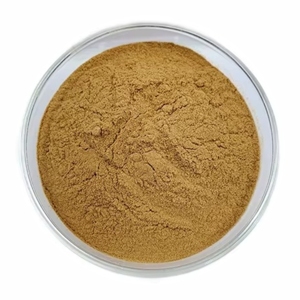 Poudre de champignon Crinière de lion pure OEM la plus vendue, poudre naturelle d'Hericium Erinaceus pour la santé cérébrale, la concentration et le soutien de la mémoire - Product Image 4
