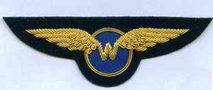 Écussons tactiques Wing Rank, brodés à la main, pour blazer, avec attaches magnétiques, pour uniformes, en tissu - Product Image 3