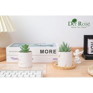 Set di 2 accessori da scrivania per donna, piante succulente artificiali, finta vegetazione per casa e ufficio - Product Image 3