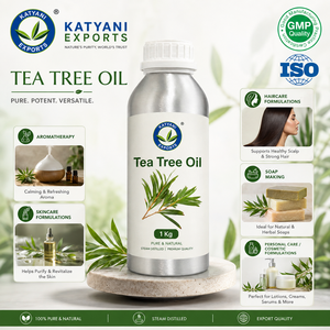 Aceite Esencial de Árbol de Té 1KG, Aceite de Hoja de Melaleuca Alternifolia 100% Puro y Natural, Aceite Botánico Destilado al Vapor - Madhya Pradesh, India - Product Image 4