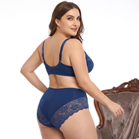 Ensemble soutien-gorge et culotte grande taille pour femme, dentelle, armatures, bonnet 3/4, OEM ODM, logo personnalisé, séchage rapide, lingerie quotidienne, nylon et coton