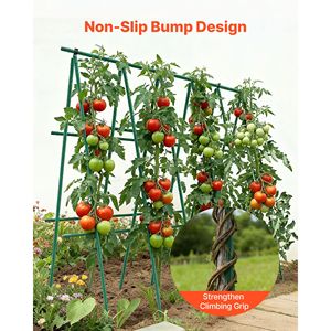 Pali per Pomodori in Metallo Rivestito in Plastica da 70,87 Pollici, Confezione da 50, Bastoncini da Giardino per Supporto Piante con Punta Appuntita, Utilizzati per la Coltivazione - Product Image 5
