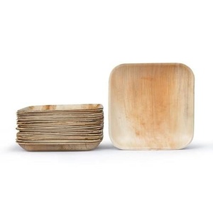 Platos Biodegradables Ecológicos Cuadrados Resistentes de 6 Pulgadas para Puestos de Comida, Fiestas y Comida para Llevar - Paquete de 50 Piezas para Aperitivos y Postres - Product Image 1