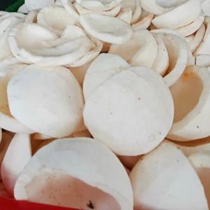 Contenido de aceite blanco Natural Premium cortado 1x5cm tiras de carne de coco IQF fruta congelada para sopa de curry cocina asiática para servicio de alimentos - Product Image 4