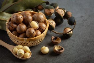 Comida Snack Top Deal Vietnam Suministro de fábrica La mejor calidad Saludable Sabroso AGRIETADO ASADO MACADAMIA Nueces Varios tamaños de bolsas - Product Image 2