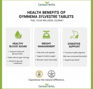 Comprimés pressés de Gymnema Sylvestre, extrait naturel de feuilles, produit à base de plantes riche en antioxydants pour le bien-être et la vitalité quotidiens - Product Image 5