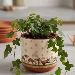 Macetas de Terracota Roja con Logotipo Personalizado, Macetas de Cerámica para Plantas con Drenaje, ¡EN OFERTA! - Product Image 5
