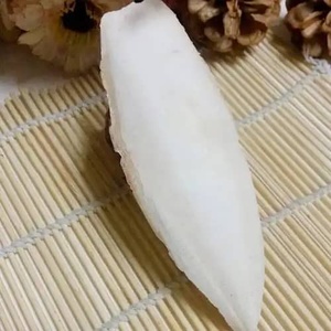 Cuerpos de Calamar Congelados IQF, Limpios, de Primera Calidad, en Empaque a Granel de 10 kg, Mariscos Nutritivos - Product Image 5