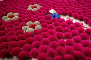 ธูปดำขนาด 12 นิ้ว ฐานสีชมพู ไม่มีกลิ่น แกนไม้ไผ่ เผาไหม้สะอาด เหมาะสำหรับการบูชาและการทำสมาธิ ขายส่ง - Product Image 5
