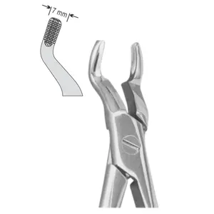Instrumentos quirúrgicos dentales de patrón inglés estándar FOCEPS de extracción para centrales superiores y por terceros molares - Product Image 2
