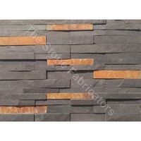 Panneau mural en pierre de quartzite noir TSF, surface fendue, résistant aux acides, utilisation extérieure, design moderne, écologique, durable