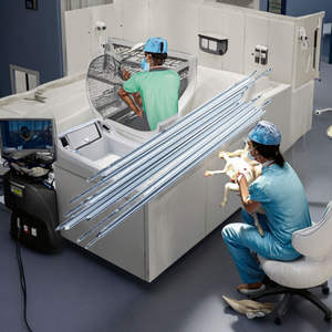 10 pièces/ensemble Fils de Kirschner à double extrémité en acier inoxydable, instrument orthopédique vétérinaire de classe I, certifié CE manuel par Dentavex - Product Image 6