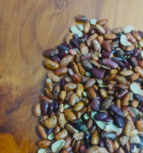 Frijoles Rojos Premium (Rajma) |   Frijoles secos |   Proveedor y Exportador a Granel de la India - Product Image 2