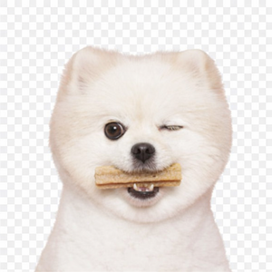 Comprimés de soin dentaire pour chiens NoAh Pet Bio Organic Safe Herbal Fermented Ingredients, à base de ginseng rouge (12 bâtonnets, 84g) - Product Image 4