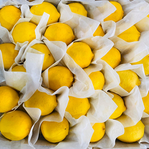 Vente en gros de citrons Eureka, qualité constante pour les marchés de détail et de services alimentaires - Product Image 4