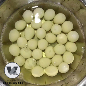 HUEVOS DE CODORNIZ ENLATADOS EN SALMURINA DE 15 OZ, PREPARADOS PARA HOTPOT, RAMEN, SOPA Y BAOZIS, PRODUCTO EN OFERTA - Product Image 6
