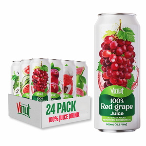 Boisson de jus de fruits sans sucre aromatisée 500ml 100% pulpe de jus de fruits OEM/ODM disponible marque privée prix d'usine - Product Image 1