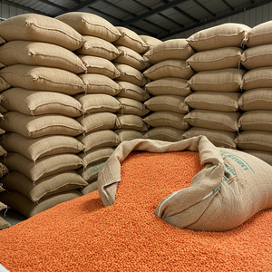 Lentejas Rojas de Primera Calidad para la Industria Alimentaria y Mercados de Exportación, con Lentejas Rojas Frescas y Limpias para Compradores de Suministro a Granel en Todo el Mundo - Product Image 5