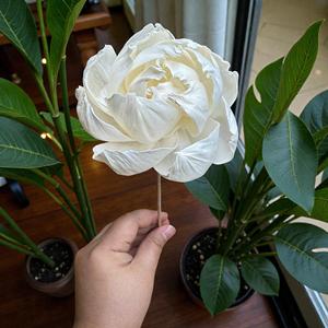 Flores de Madera Sola Mini Peony Blancas Hechas a Mano y Sostenibles, Tamaño: 8.5 CM, Varilla de Fibra de Planta de Sesbania de Tailandia - Product Image 3