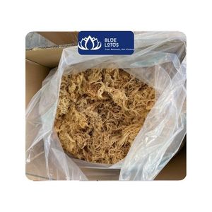 มีจำหน่าย |   สาหร่ายทะเลสดขายส่งสำหรับอุตสาหกรรมอาหาร วัตถุดิบสกัดคาราจีแนน วัตถุดิบทำอาหาร ยี่ห้อเวียดนามบลูลอตัส บรรจุถุง - Product Image 1