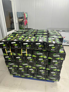 Limones frescos sin semillas de Vietnam con larga vida útil y alto rendimiento de jugo, perfectos para exportar envases al por mayor y al por menor - Product Image 3