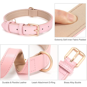 Collar de Perro de Cuero Rosa de Lujo con Hebilla Dorada, Ajustable y Acolchado, para Perros Pequeños, Medianos y Grandes - Product Image 4