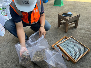 เมล็ดกาแฟโรบัสต้าพรีเมียมสีเขียว ไม่ผ่านการคั่ว ขนาด 16 18 คุณภาพสูง จำหน่ายจำนวนมาก - Product Image 3