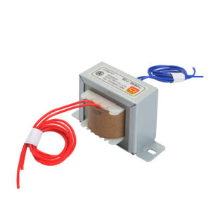 Autotransformador Eléctrico Samwoo de 50VA Monofásico de 380V a 220V con Voltaje Personalizado Disponible - Product Image 1