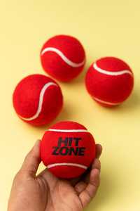 HIT ZONE Batte de cricket légère et souple pour entraînement au cricket de rue et jeu quotidien - Product Image 2